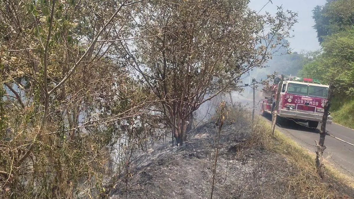 se cuantificaron seis hectáreas de áreas verdes consumidas por el fuego, entre el área urbana y el área rural de Huauchinango